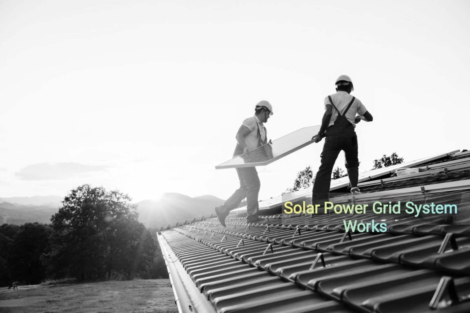 Construction & MEPF Services